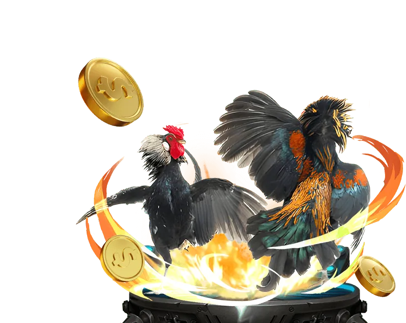 Cờ bạc có trách nhiệm và bảo vệ người chơi